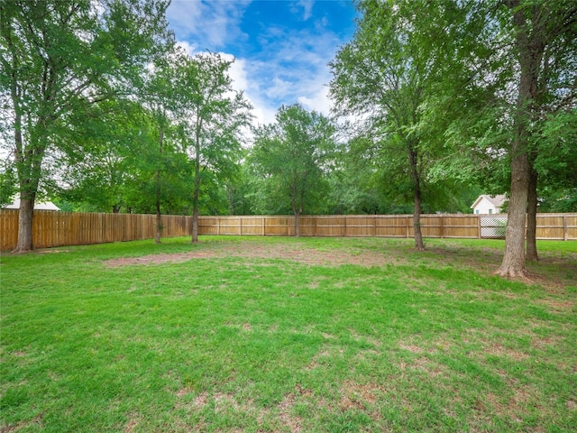 116 Naalehu Ct, Bastrop, TX 78602 - view of yard