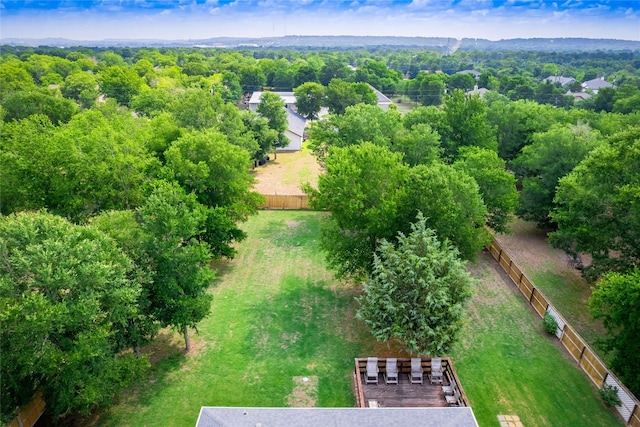 116 Naalehu Ct, Bastrop, TX 78602 - drone / aerial view