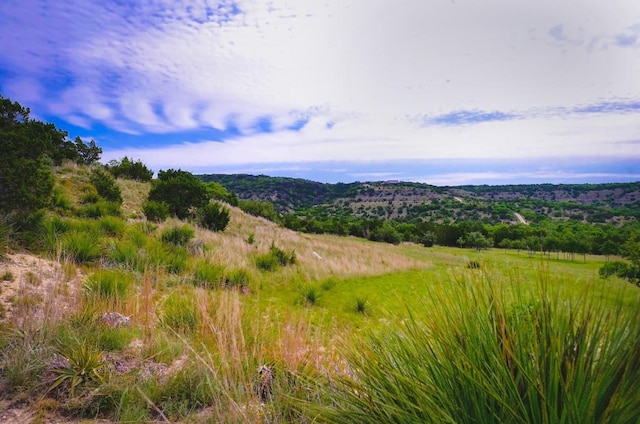 1231 Montell Rd, Wimberley, TX 78676 - mountain view