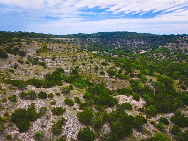 1231 Montell Rd, Wimberley, TX 78676 - mountain view
