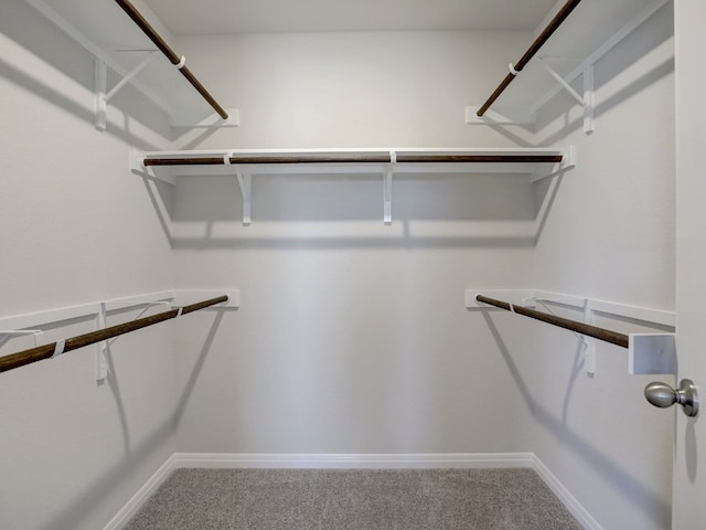 1850 Settlers Glen Dr Unit 502, Round Rock, TX 78665 - walk in closet featuring carpet