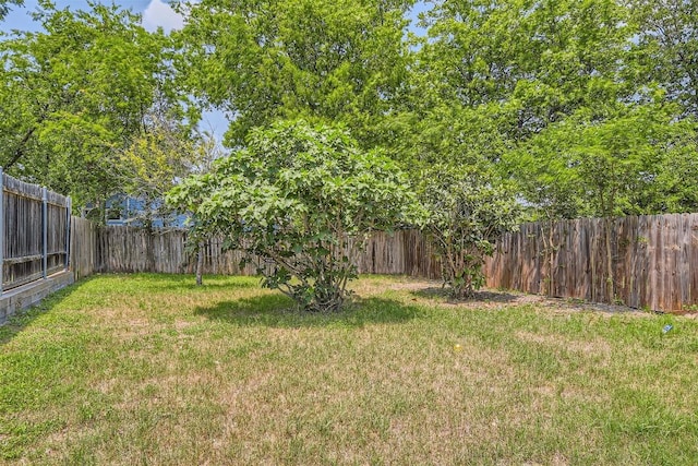 8524 Dryfield Dr, Austin, TX 78758 - view of yard