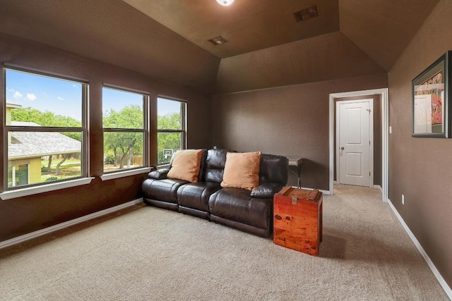 22218 W Cape Travis Bnd, Lago Vista, TX 78645 - living room with carpet floors and lofted ceiling