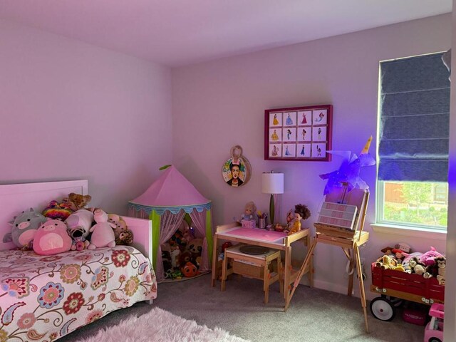 2404 Pack Iron Pass, Leander, TX 78641 - view of carpeted bedroom