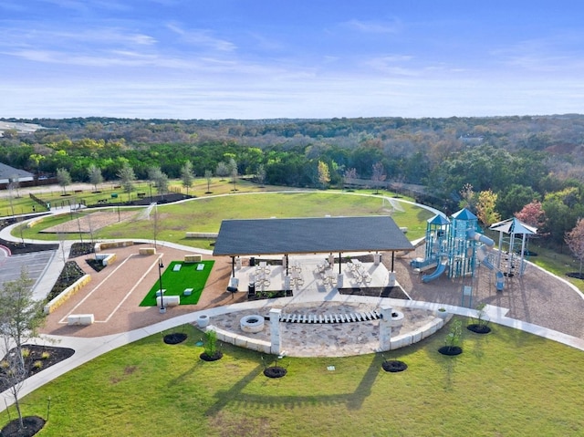 2404 Pack Iron Pass, Leander, TX 78641 - aerial view of a park