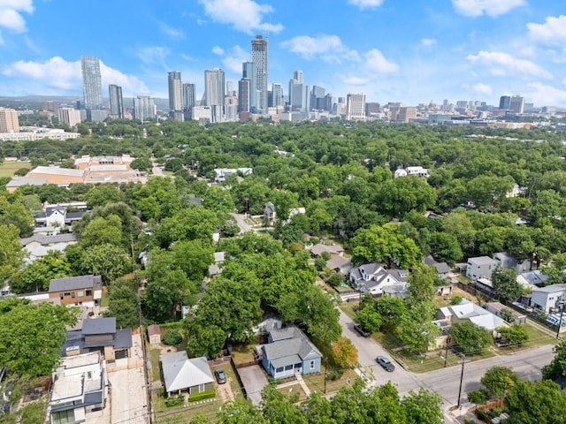 48 Chicon St, Austin, TX 78702 - bird's eye view of skyline