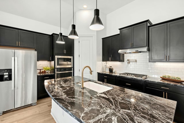300 Barrel Bnd, Georgetown, TX 78628 - kitchen featuring stainless steel appliances, dark cabinetry, and under cabinet range hood
