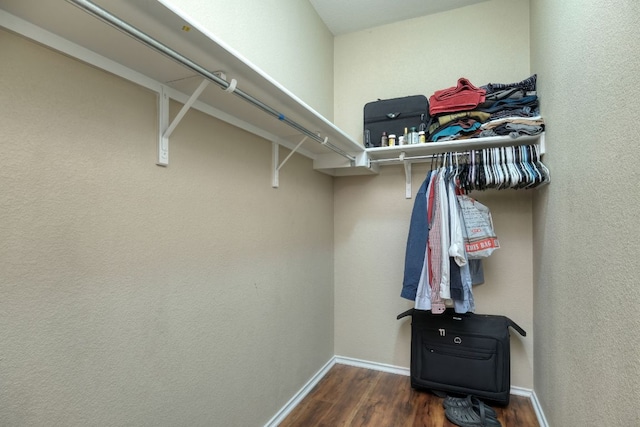 1244 Yellow Iris Rd, Leander, TX 78641 - walk in closet featuring wood finished floors
