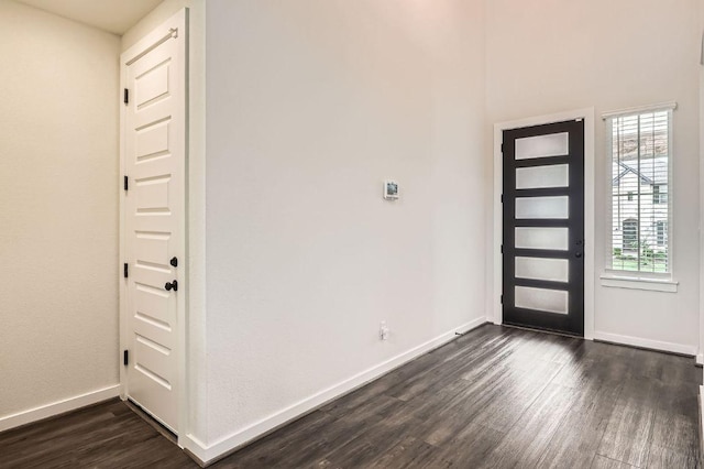 461 Constitution Way, Kyle, TX 78640 - foyer featuring dark wood-type flooring, healthy amount of natural light, and baseboards