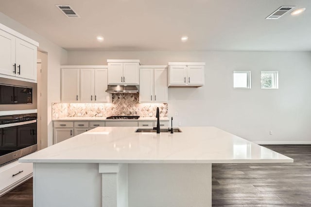 461 Constitution Way, Kyle, TX 78640 - kitchen featuring appliances with stainless steel finishes, a sink, tasteful backsplash, a kitchen island with sink, and under cabinet range hood