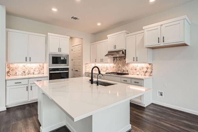 461 Constitution Way, Kyle, TX 78640 - kitchen with stainless steel appliances, a sink, under cabinet range hood, dark wood-style floors, and tasteful backsplash