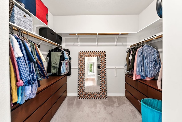4404 Cierne Cv, Round Rock, TX 78681 - spacious closet featuring carpet floors