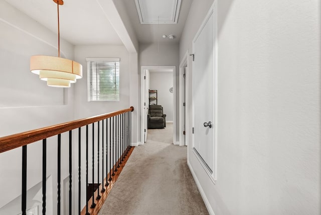 4404 Cierne Cv, Round Rock, TX 78681 - hall featuring attic access, carpet flooring, and baseboards