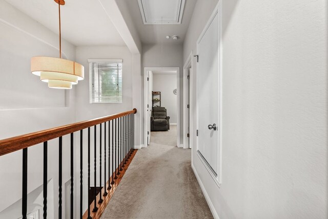 4404 Cierne Cv, Round Rock, TX 78681 - hall featuring attic access, carpet floors, and baseboards