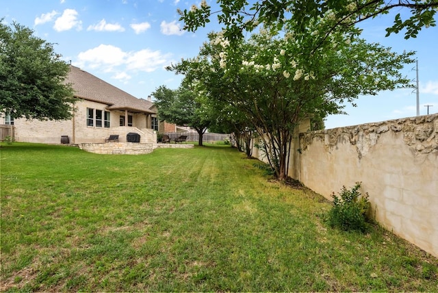 4404 Cierne Cv, Round Rock, TX 78681 - view of yard with a patio