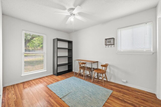 5808 Cedardale Dr, Austin, TX 78745 - living area with wood finished floors, a ceiling fan, baseboards, and a textured ceiling