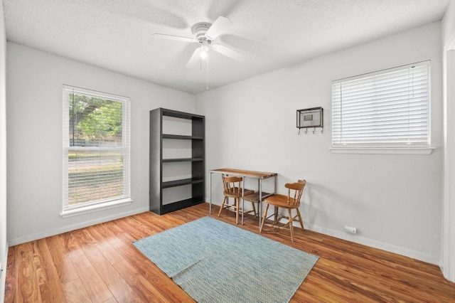 5808 Cedardale Dr, Austin, TX 78745 - living area with wood finished floors, ceiling fan, baseboards, and a textured ceiling