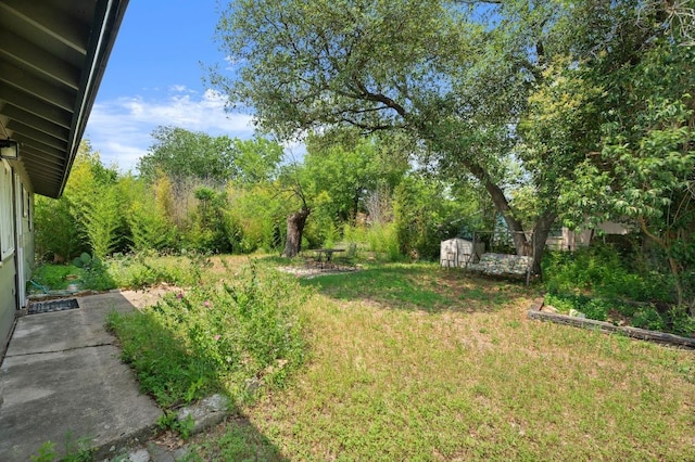 5808 Cedardale Dr, Austin, TX 78745 - view of grassy yard