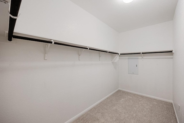 208 Shiner Ln, Georgetown, TX 78626 - walk in closet featuring light carpet