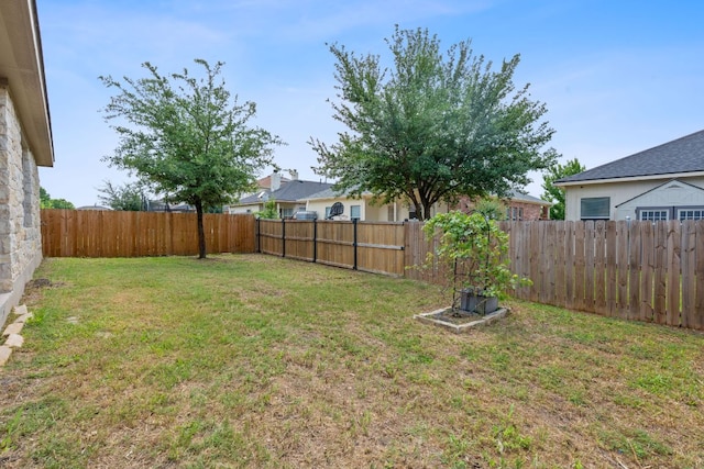 11117 Boundless Valley Dr, Austin, TX 78754 - view of yard