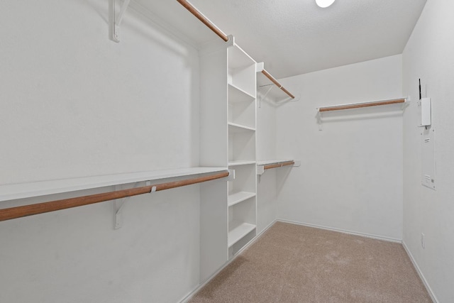 11117 Boundless Valley Dr, Austin, TX 78754 - walk in closet featuring carpet floors