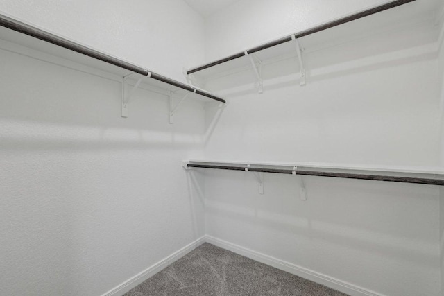 125 Bauer Loop, Liberty Hill, TX 78642 - walk in closet featuring carpet