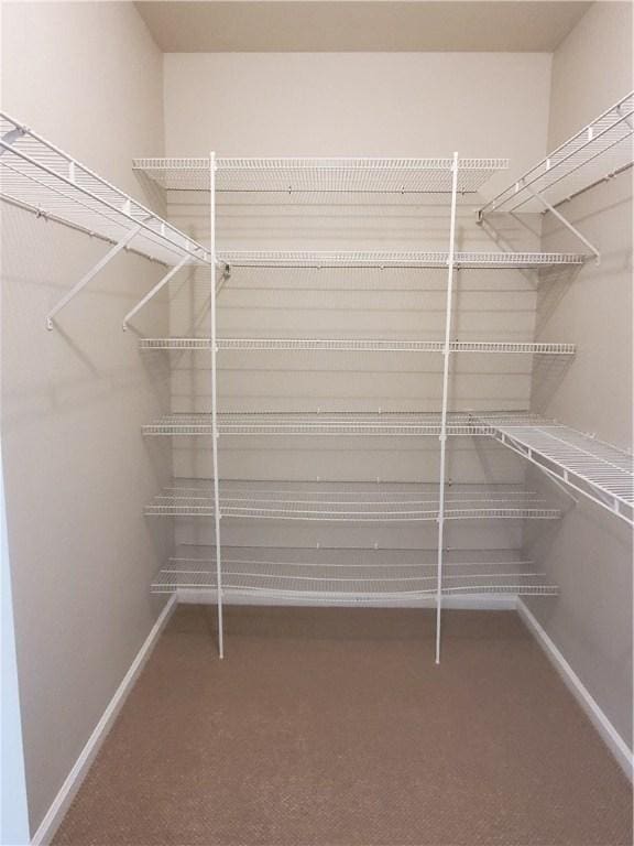 11203 Ranch Road 2222nd Rd Unit 901, Austin, TX 78730 - spacious closet with carpet