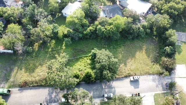 1193 Ridge Dr, Austin, TX 78721 - photo 4