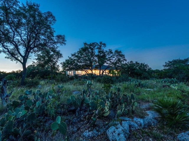 1000 Bamc Dr, Canyon Lake, TX 78133 - photo 37