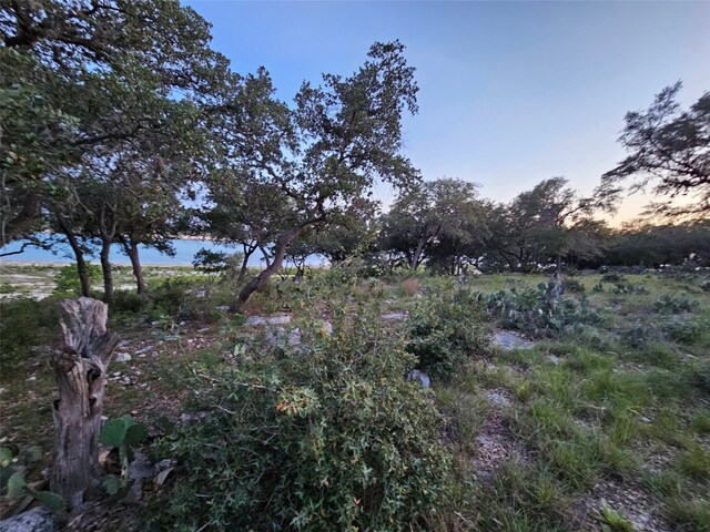 1000 Bamc Dr, Canyon Lake, TX 78133 - photo 39
