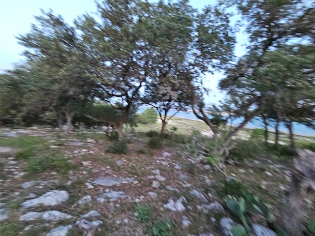 1000 Bamc Dr, Canyon Lake, TX 78133 - photo 40