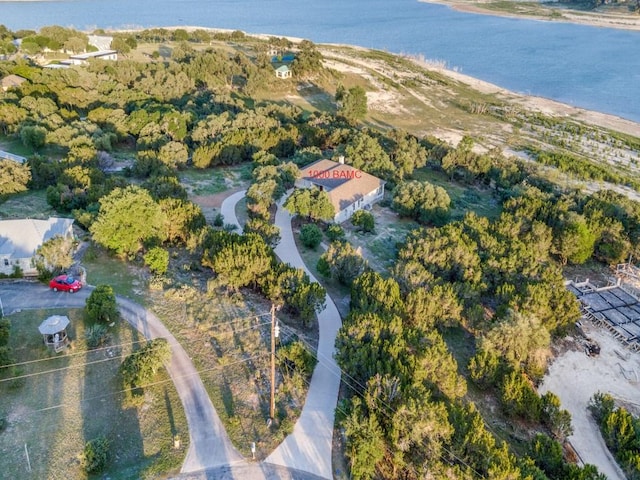 1000 Bamc Dr, Canyon Lake, TX 78133 - photo 8
