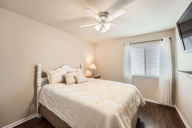 134 Sassafras St, Hutto, TX 78634 - bedroom featuring wood finished floors, multiple windows, and baseboards