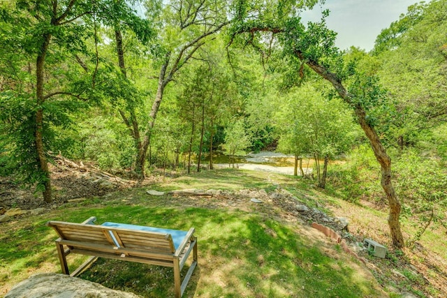 1125 Byers Ln, Austin, TX 78753 - view of home's community featuring a view of trees