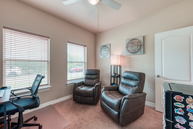 121 Cedar St, Granite Shoals, TX 78654 - carpeted home office with a ceiling fan and baseboards