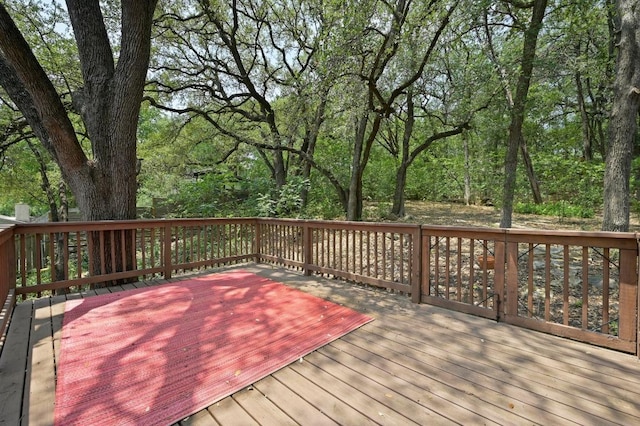 12214 Scribe Dr, Austin, TX 78759 - photo 20