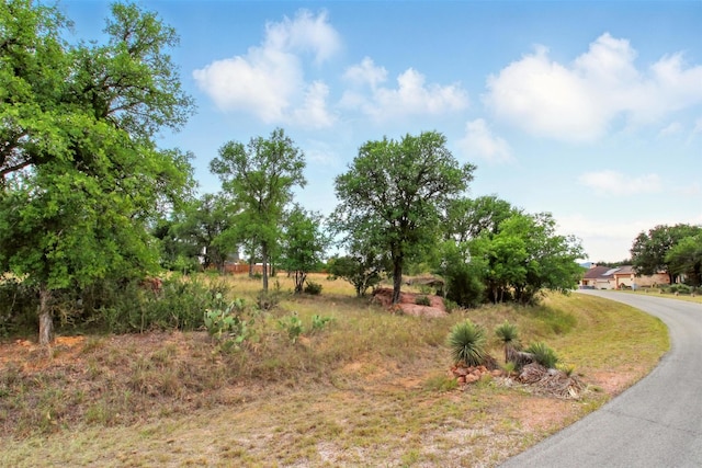 LOT205 Skyline Dr, Kingsland, TX 78639