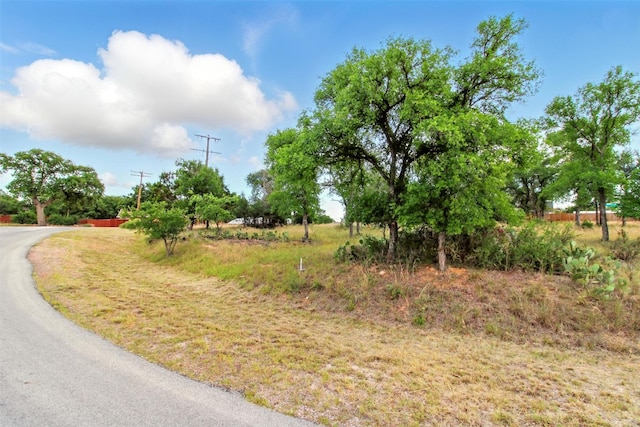 LOT205 Skyline Dr, Kingsland, TX 78639