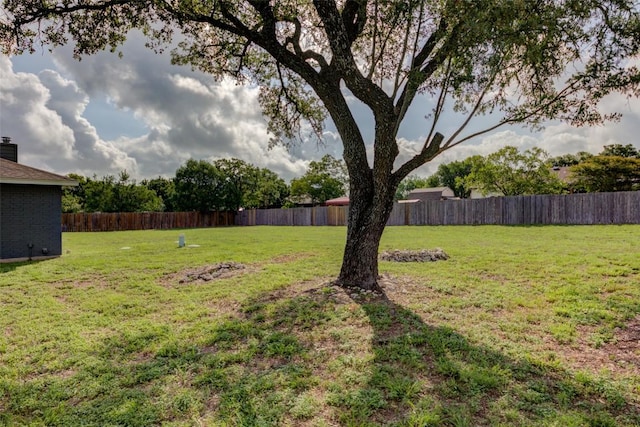 111 Jane Ellen Cv, Kyle, TX 78640 - photo 8