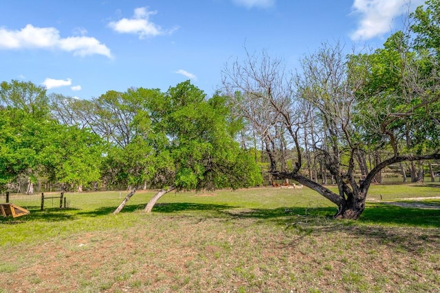 159 Baldwin Rd, Ingram, TX 78025 - view of green lawn
