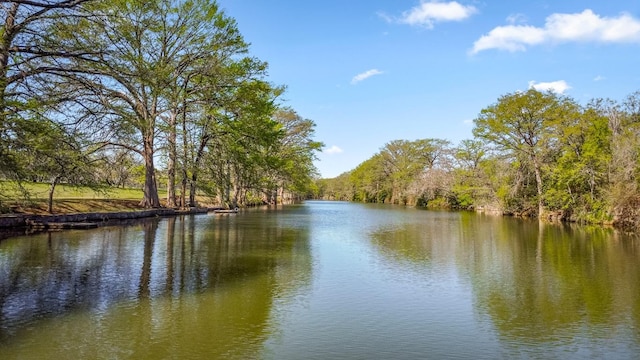 159 Baldwin Rd, Ingram, TX 78025 - water view featuring a heavily wooded area