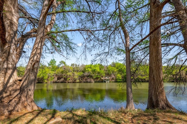 159 Baldwin Rd, Ingram, TX 78025 - water view featuring a heavily wooded area