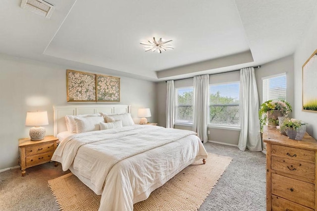 6739 Indian Lndg, San Antonio, TX 78253 - carpeted bedroom featuring a raised ceiling and multiple windows