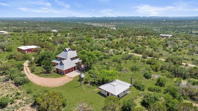 309 Cactus Trl, Johnson City, TX 78070 - aerial view of a heavily wooded area