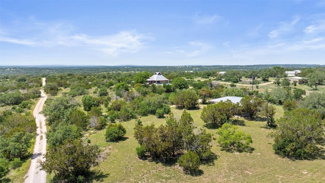 309 Cactus Trl, Johnson City, TX 78070 - aerial view of a forest