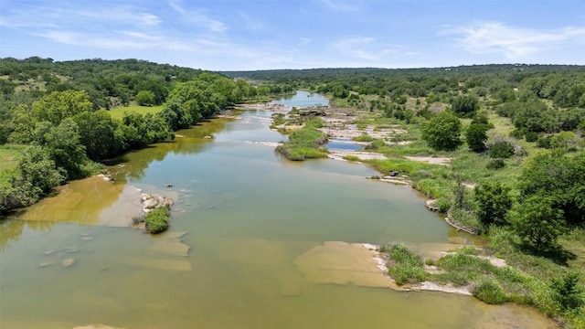 309 Cactus Trl, Johnson City, TX 78070 - drone / aerial view of a forest and a nearby body of water