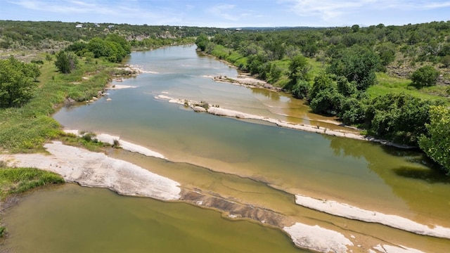 309 Cactus Trl, Johnson City, TX 78070 - view of property location with a forest and a large body of water