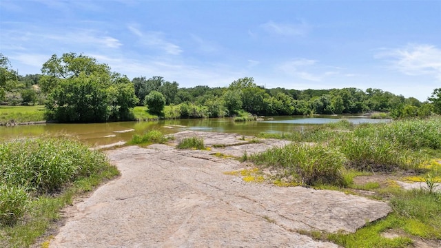 309 Cactus Trl, Johnson City, TX 78070 - photo 8