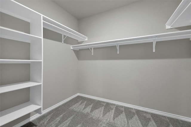 2038 Wind Chime Way, New Braunfels, TX 78130 - spacious closet with carpet floors
