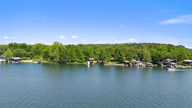 2603 Pearce Rd, Austin, TX 78730 - water view with a heavily wooded area